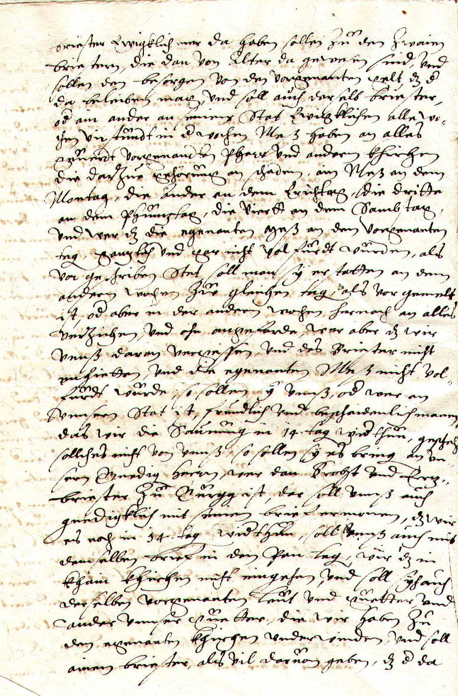 Steuerberg 7A_C6.jpg